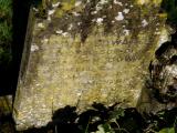 image of grave number 971629